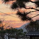 사계절펜션민박 이미지