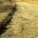 대지 행정사사무소 이미지