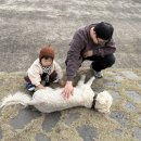씨앤피리조트