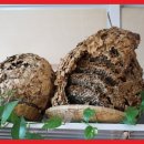 대내실식당 이미지