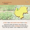 자연떡방앗간 이미지