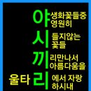 야시끼리