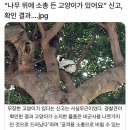 리버샷 복싱 | 돌아온 에피소드 14