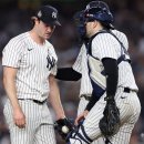 웰스코리아 이미지