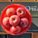 가정용 23년 청송 꿀 사과 햇부사 & 황금사과 햇 시나노골드 5kg, 10kg 이미지