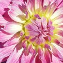 해인빌딩 이미지