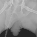 마송 동물병원 이미지