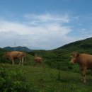 하도목장 이미지