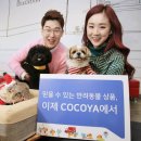 코코프렌즈 이미지