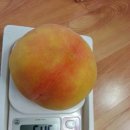 참새골농장 이미지