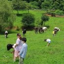 지정농장 이미지