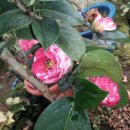 유원농장 이미지