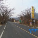 중마교