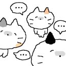 화이트하우스(솔비치) 이미지