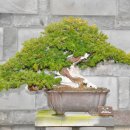 제주아트랜드 이미지