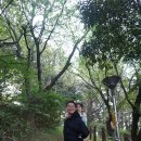 한라사 | 제주 가볼만한곳 한라수목원 광이오름 후기