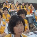 진달래먹고물장구치고 이미지