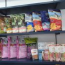 애틋하개 이미지