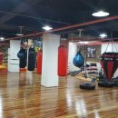 복싱프라자 이미지