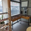 안경공장직영점 이미지