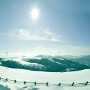 강원목장 이미지