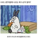 달팽이