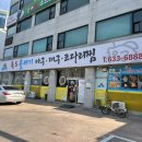 독도볼태기 이미지