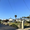 별시도룩 이미지