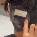 차홍룸 판교점