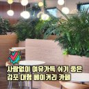 빽다방(김포마산점) | 내돈내산 김포 대형 베이커리 그린블럭 천장이 열리는 한적한 데이트 카페