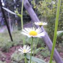 중앙공인 행정사사무소 이미지