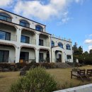 강정동-24 | 제주도 서귀포 숙소 2인숙소 꿈꾸는노마드 펜션