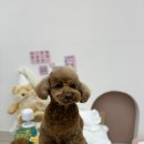 동이살롱 이미지