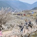 원동문화체육센터 이미지