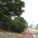 약동초교 이미지