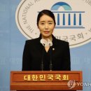 김병욱 의원 의혹에 대해 첫 공식입장을 밝힌 민주당 이미지
