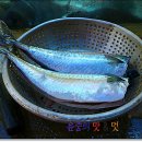 통영회포차