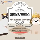 베리굿동물병원 이미지