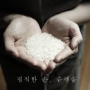 슈엔솜