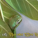 금복농장 이미지