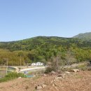 삼삼오오공인중개사사무소 이미지