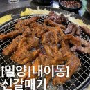 신갈매기 이미지