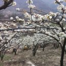 우경농장 이미지