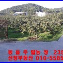 동읍235 이미지