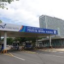 조선대학교 장미 축제 이미지