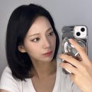 플러미드 Plumid