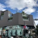 GR(부여군)-[구룡로]-하-1 | [도쿄워홀 D+5] 하메언니들과 디저트 투어, 칸쟈니 도쿄돔 콘서트 두번째 참전