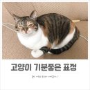 헤미안커피바