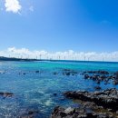 금성리 경로당 이미지