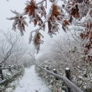 탁곡 | 임훈의 &#39;등덕유산향적봉기(登德裕山香積峰記)&#39;